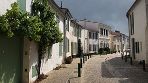 A cobblestone street lined with traditional buildings, narrow pathway, and a tree.