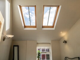 Una habitación con tragaluces y ventana, un espejo y una planta.