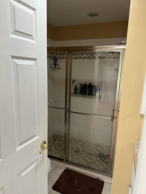 Shower, hair dryer, bidet, towels - 5 minutes to town of Rhinebeck - Quiet Ranch with gym. (Rhinebeck)