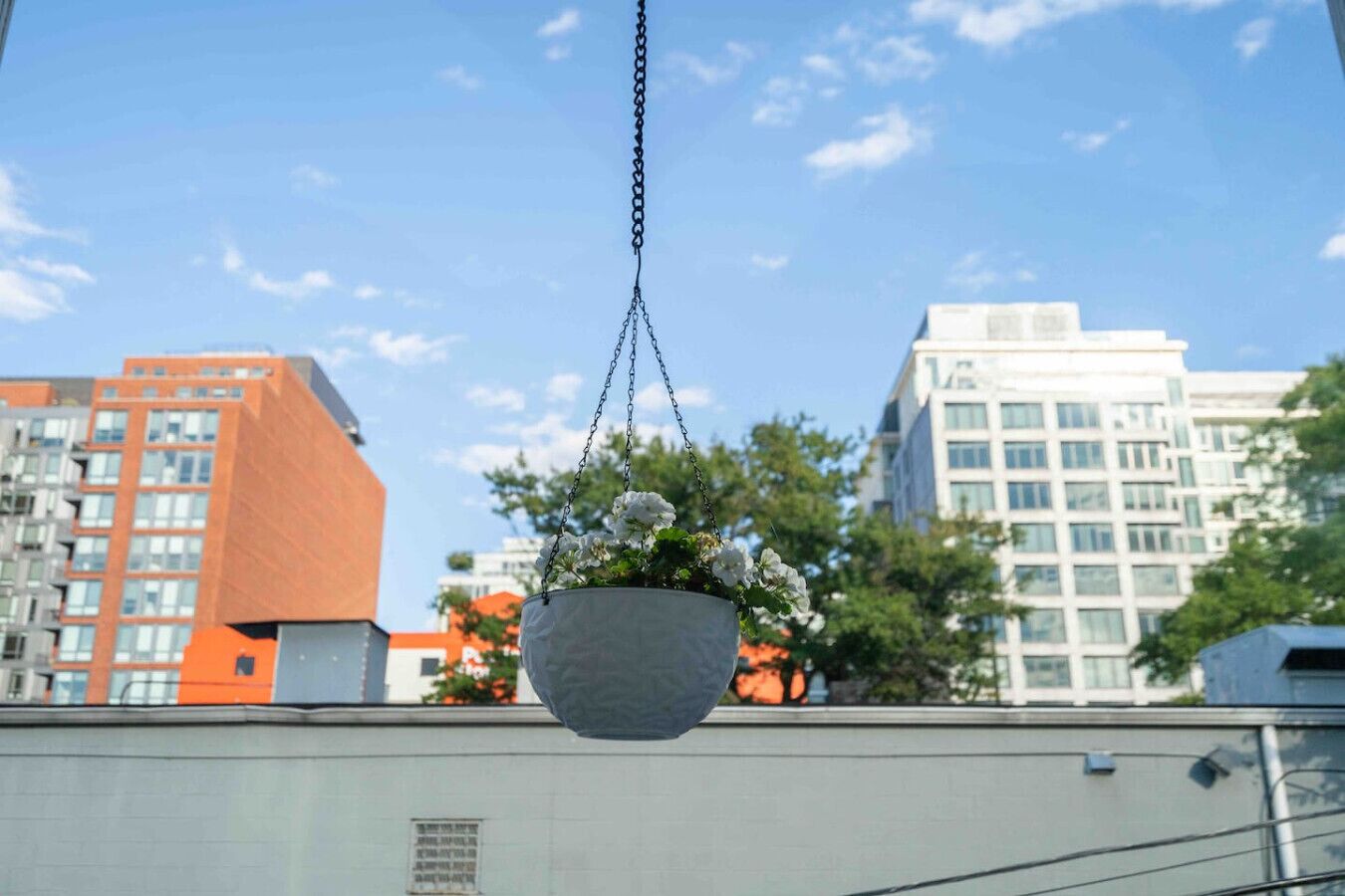 A hanging flower pot with white flowers on a building's rooftop.