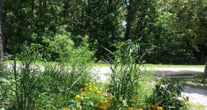 Primitive Campsites with water spigot, toilets, and wifi!