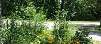 Primitive Campsites with water spigot, toilets, and wifi!