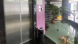 Un ascensor con pantalla digital, un basurero, una fuente con peces y una planta en maceta.