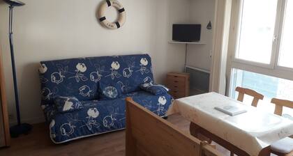 SEA VIEW RENTAL NEAR THE BEACH IN SAINT MALO