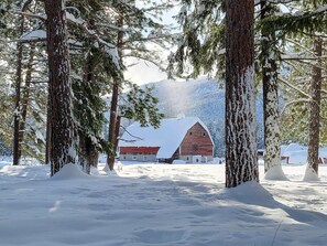 Property grounds - Goat Wall Cabin: log cabin retreat on the meadow (Mazama)