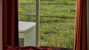 Blick durch ein Fenster mit einem Metallzaun, einem grünen Feld und Bäumen im Hintergrund.