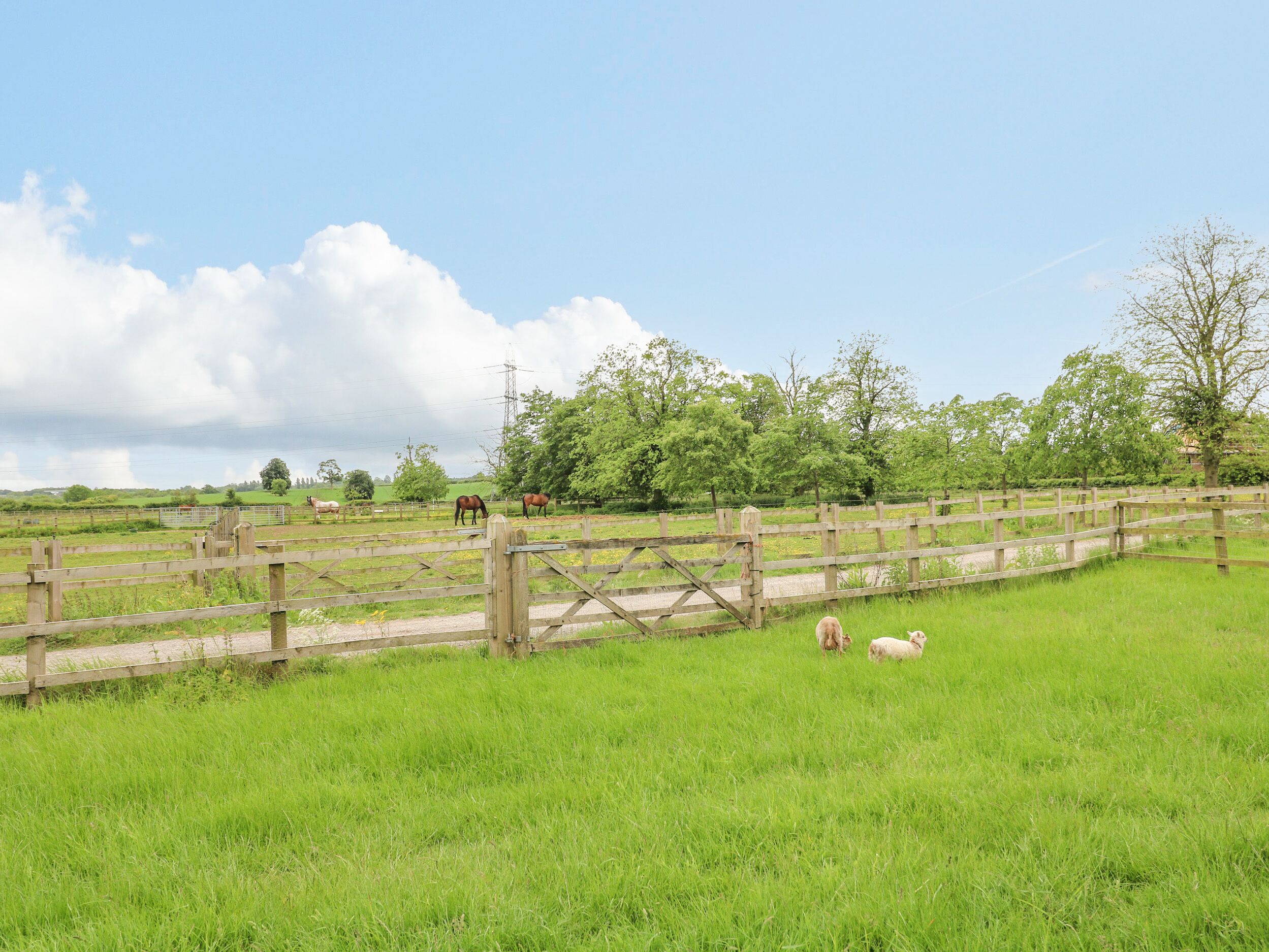 A rural landscape with a wooden fence, a gate, and a grassy field.