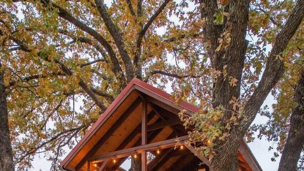 Uma casa na árvore com deck de madeira e escadas, rodeada por árvores.