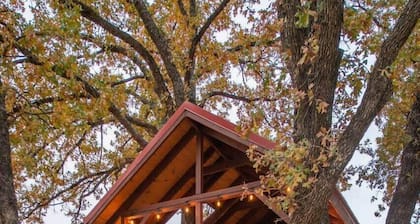 The Chickadee Treehouse 15MIN to Magnolia & Baylor