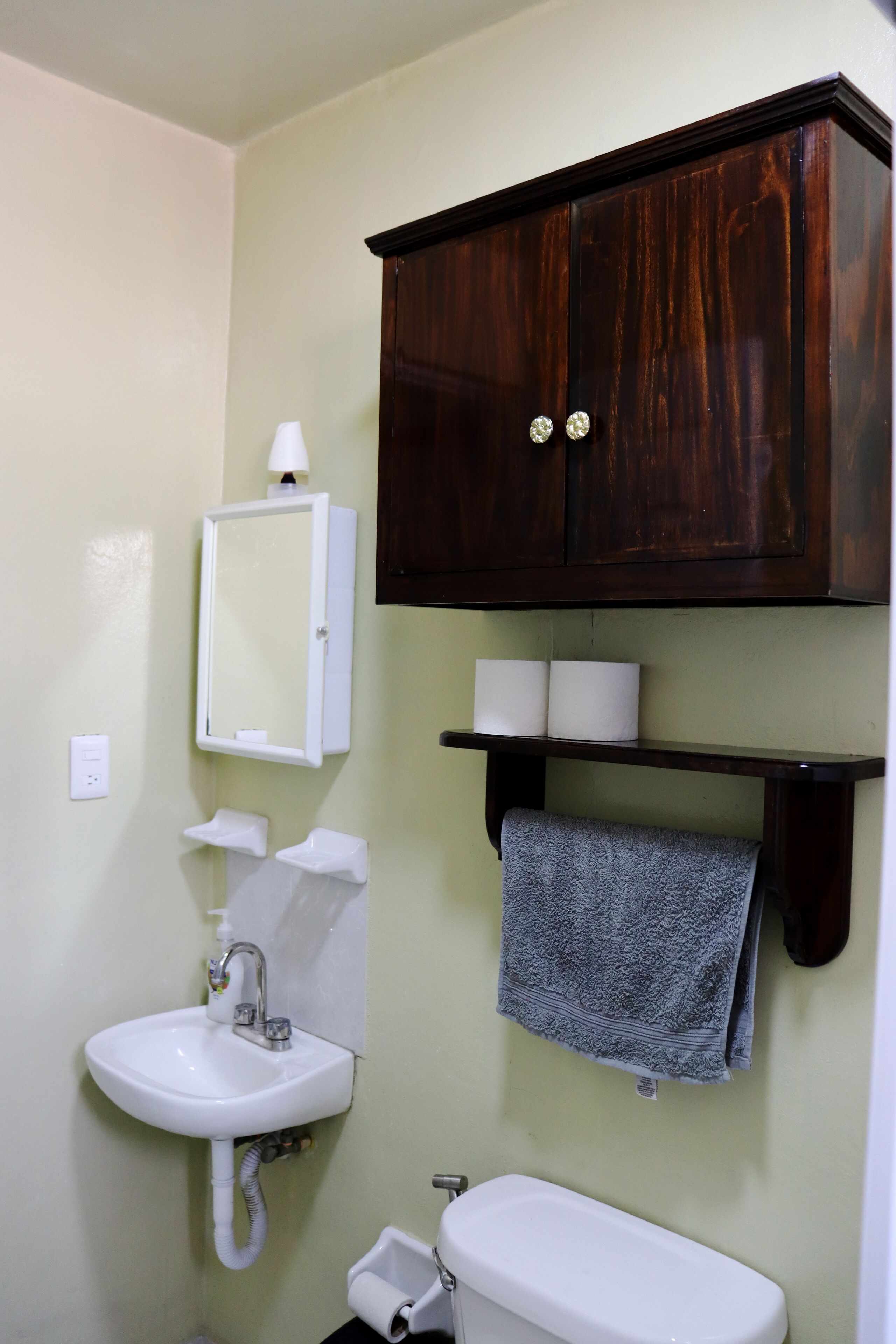 Hair dryer, towels, shampoo, toilet paper