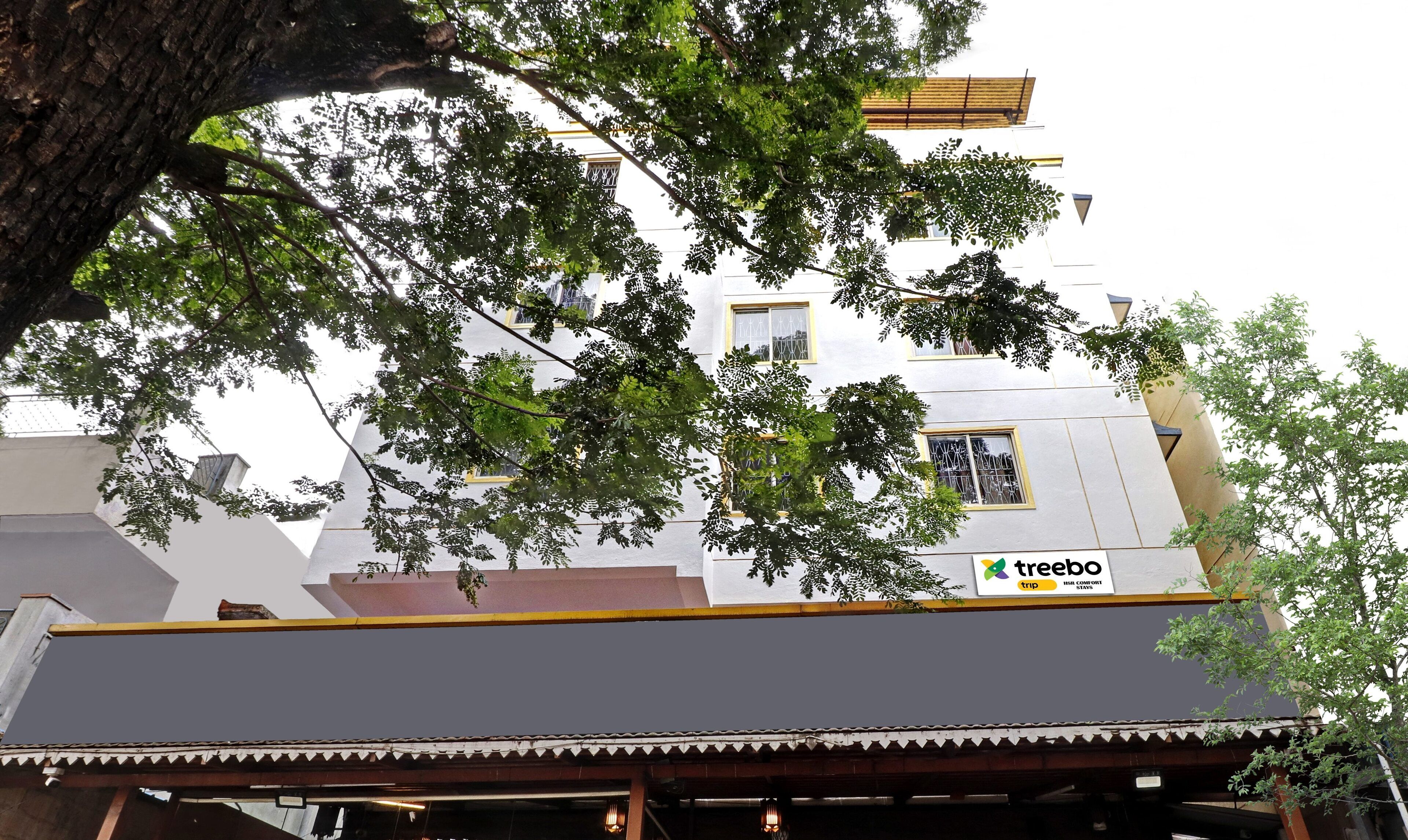 A building with a 'treebo' sign, indicating a travel-related business.