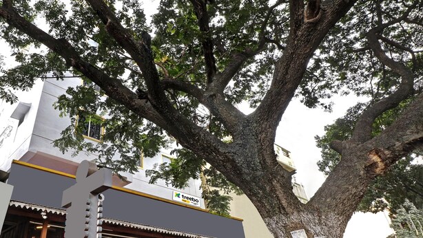 A building with a 'treebo' sign, large trees, and a 'WORK HOME' sign. - Itsy Hotels HSR Comfort (Bengaluru)