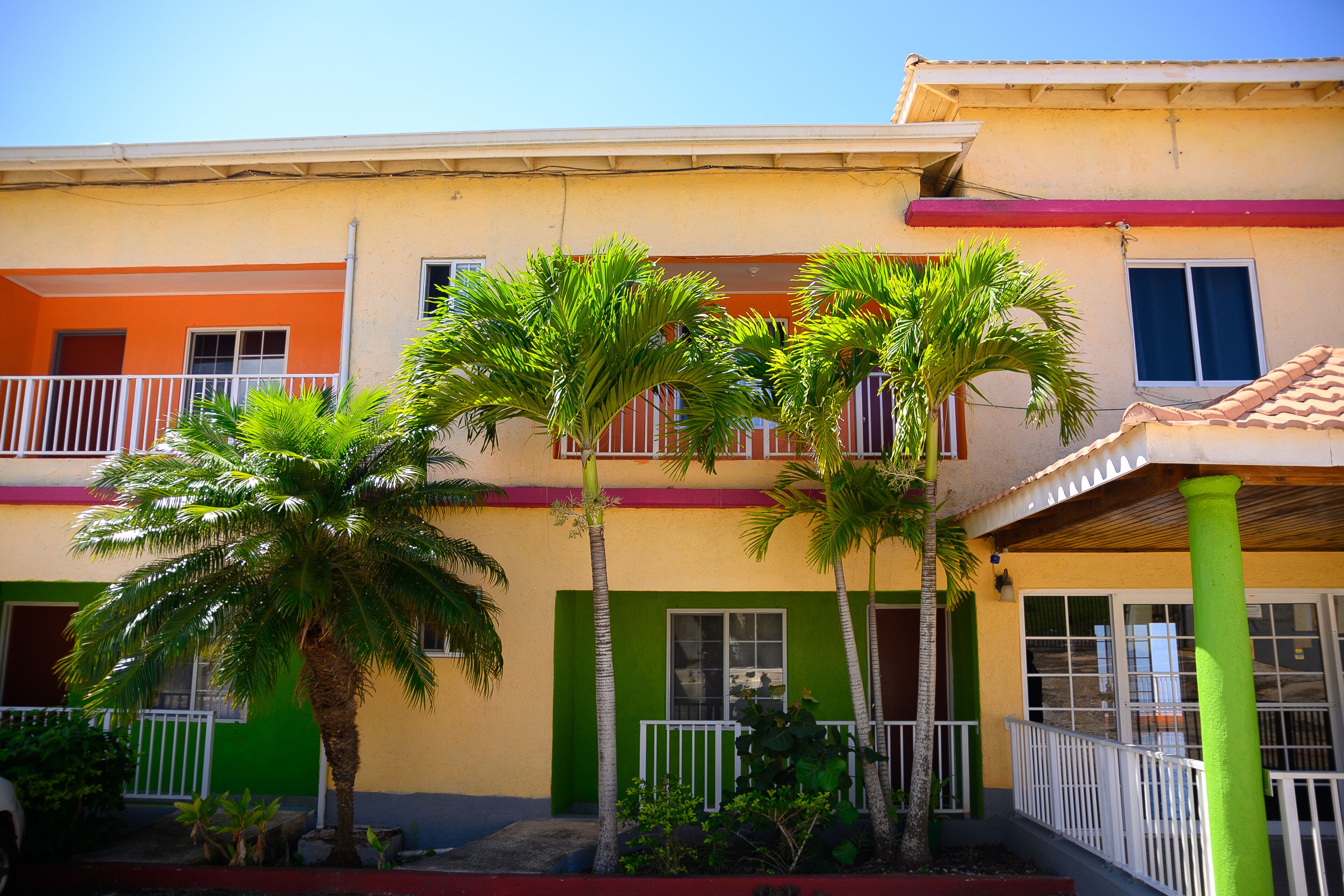 A multi-story building with balconies, palm trees, and a green and orange facade.