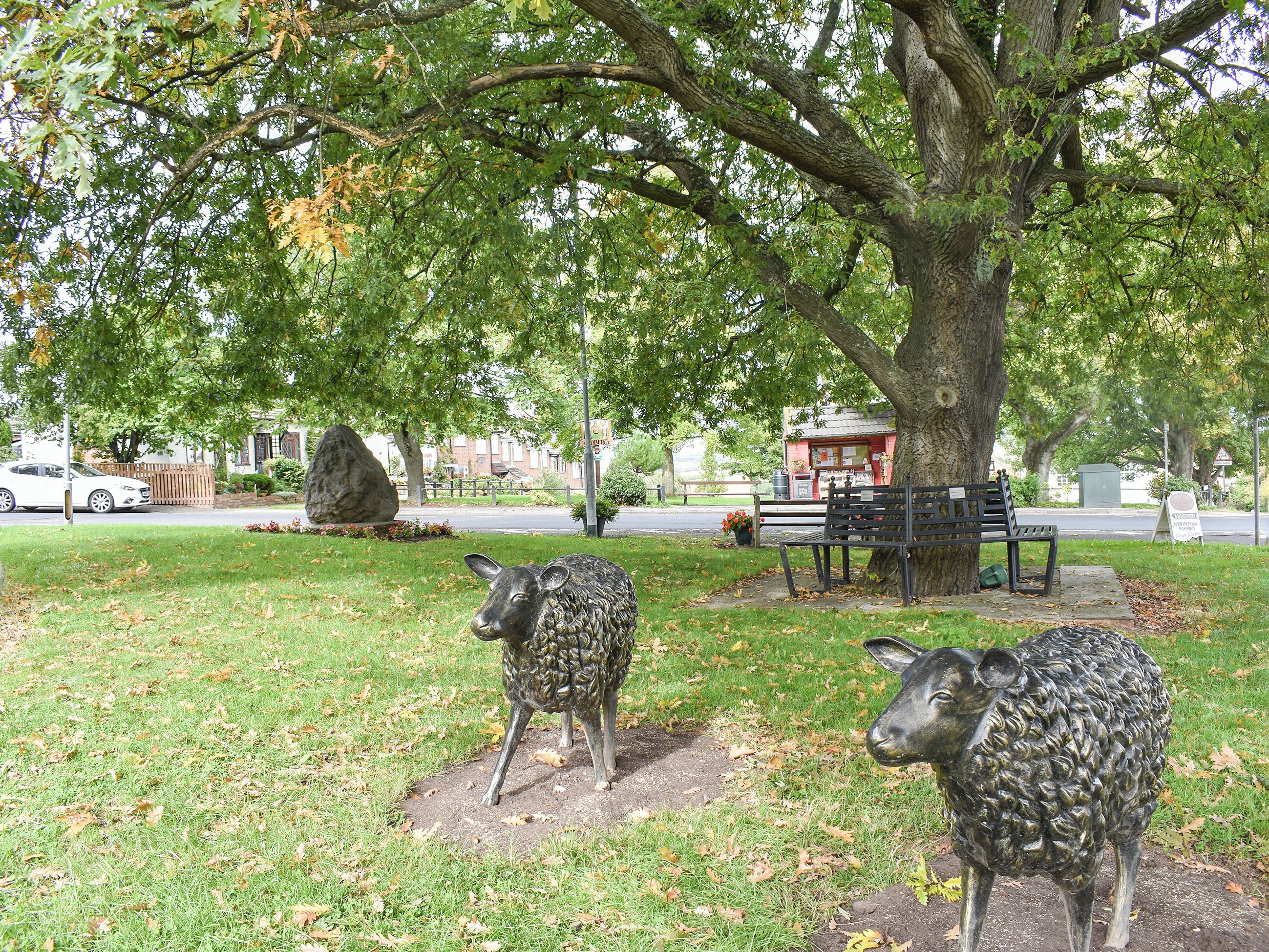 Overnattingsstedets uteområder