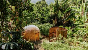 A rustic, natural setting with a dome-shaped structure and a bamboo fence. - Stunning Luxury Eco Villa (Tzununa)
