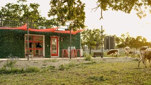 Ein Gebäude mit roter Tür und Fenstern, umgeben von einer Wiese mit Kühen.