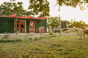 Esterni