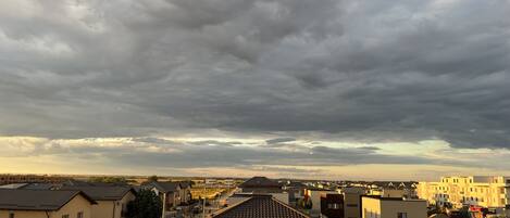 Superior Apartment | Terrace/patio