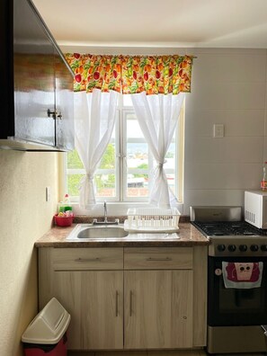 Microondas, cafetera/tetera, especias, mesa de comedor