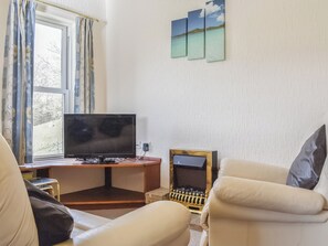 Fernseher