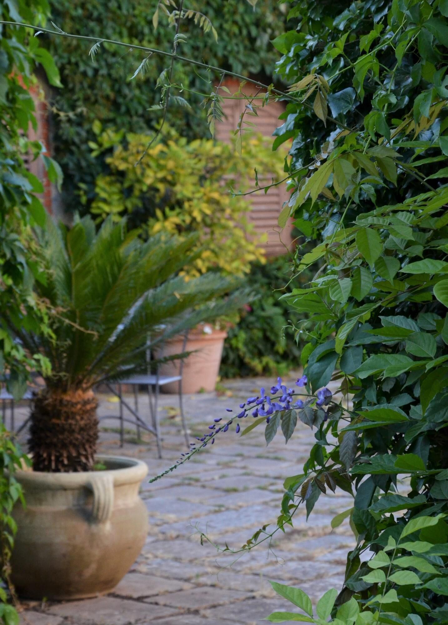 A garden with a palm tree, a large pot, and a flowering plant.