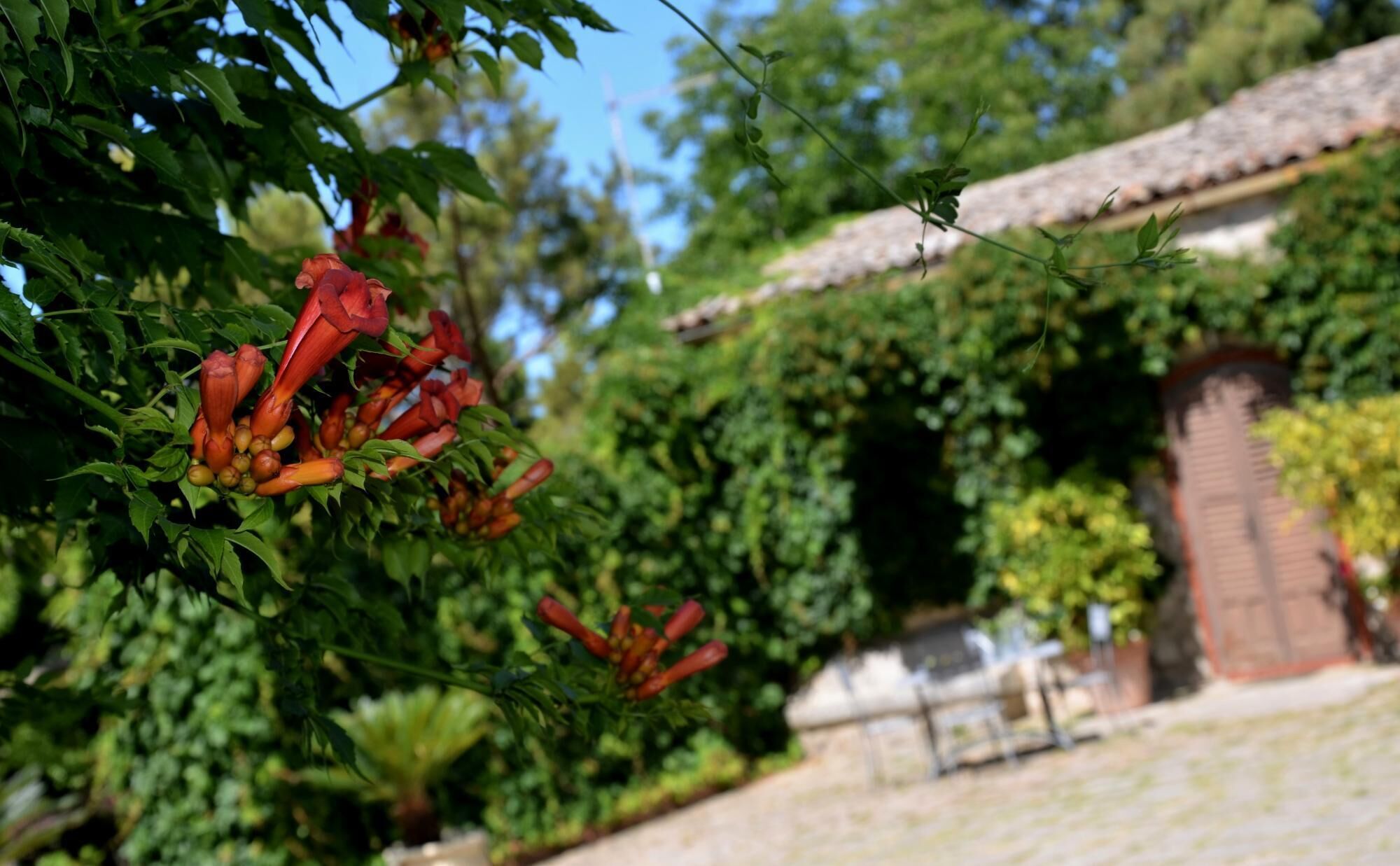 Un jardín con flores rojas y un edificio de techo a ladrillo.