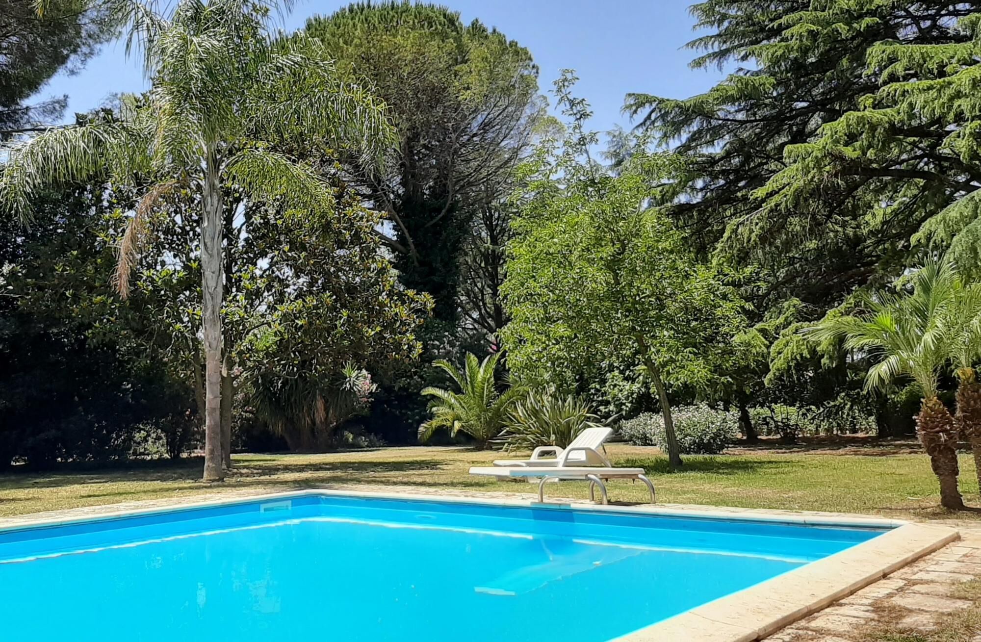 Una piscina rodeada de abundante vegetación y árboles.
