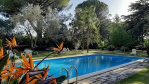 A swimming pool surrounded by lush greenery and trees. - Villa de Leva - Casa Gialla (Modica)