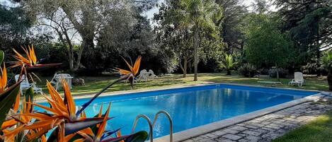 Casa | 1 camera, Wi-Fi