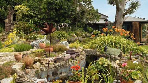 A garden with various plants and a small pond. - 1 bedroom accommodation in Crows Nest, near Liskeard (Crows Nest, near Liskeard)