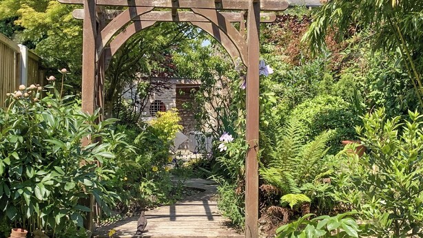 A wooden arbor with a pathway leading to a house.