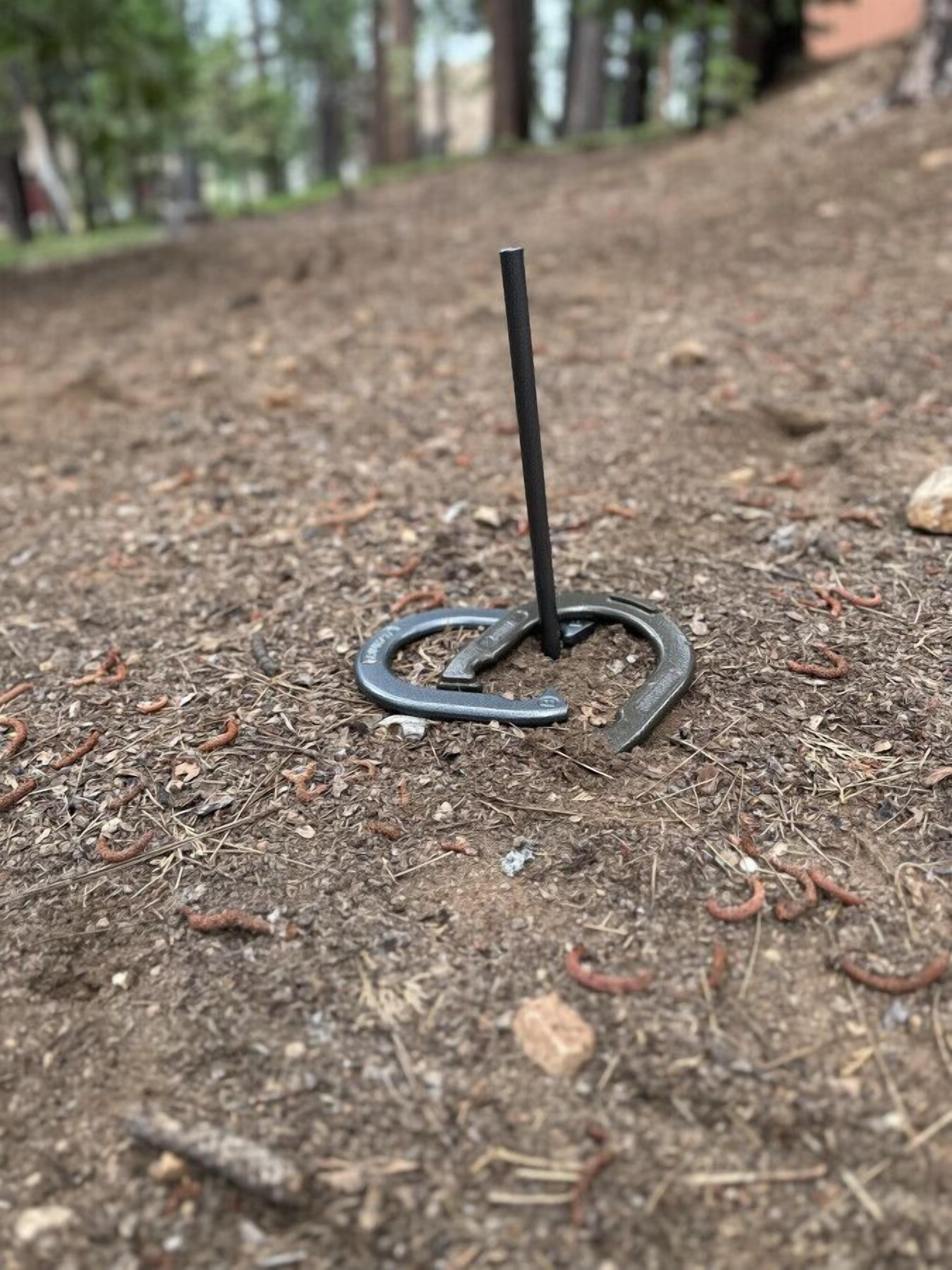 A metal horseshoe with a black pole in a forested area.
