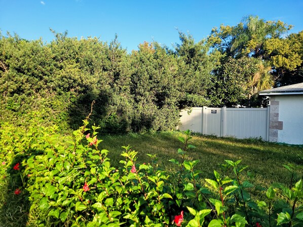 Property grounds - 2bedroom +1 bathroom Best Desirable location (Tampa)