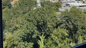 Vista d'un paisatge urbà amb una combinació d'edificis i zones verdes, incloent-hi una estructura de torre destacada.