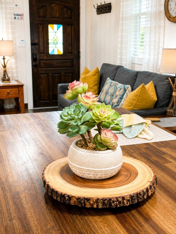 A wooden dining table with a potted succulent plant in the center.