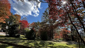 Ein Park mit Bäumen in Herbstfärbung, einer Rasenfläche und blauem Himmel.