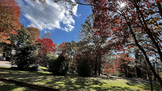 Un parque con árboles mostrando follaje otoñal, un área con césped y un cielo despejado.