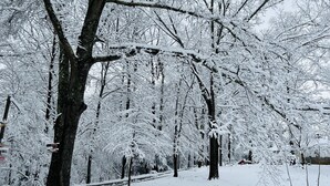 Ein verschneiter Park mit kahl stehenden Bäumen und einem freigeräumten Weg.