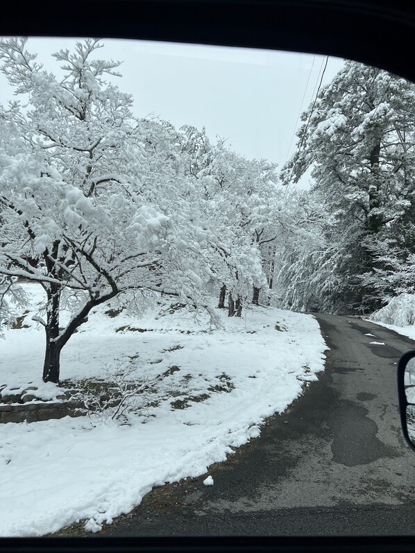 Eine schneebedeckte Straße, gesäumt von Bäumen.