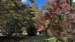 Ein Haus, umgeben von dichtem Grün und Bäumen mit herbstlichen Blättern.