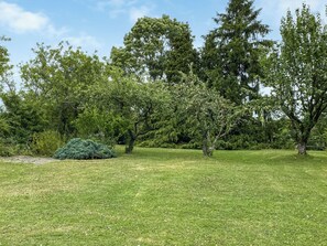 Terrain de l’hébergement 