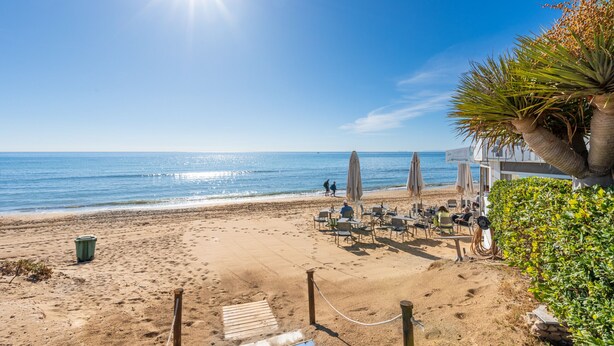 Platja amb zona de seients, ombrel·les i una palmera.
