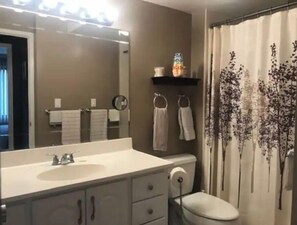 Combined shower/tub, hair dryer, bidet, towels