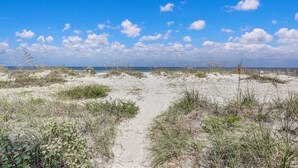 A sandy beach path leading to the sea, surrounded by grassy dunes. - Oceanview 4BR condo in Amelia Island Plantation with pool, pet friendly! (Fernandina Beach)