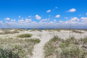 On the beach - Ocean Views at this Pet-Friendly Paradise (Fernandina Beach)