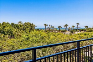 Property grounds - Ocean Views at this Pet-Friendly Paradise (Fernandina Beach)