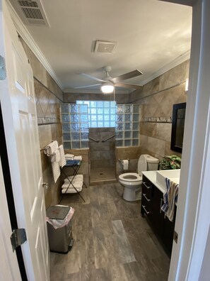 Ducha, secador de pelo, bidé y toallas