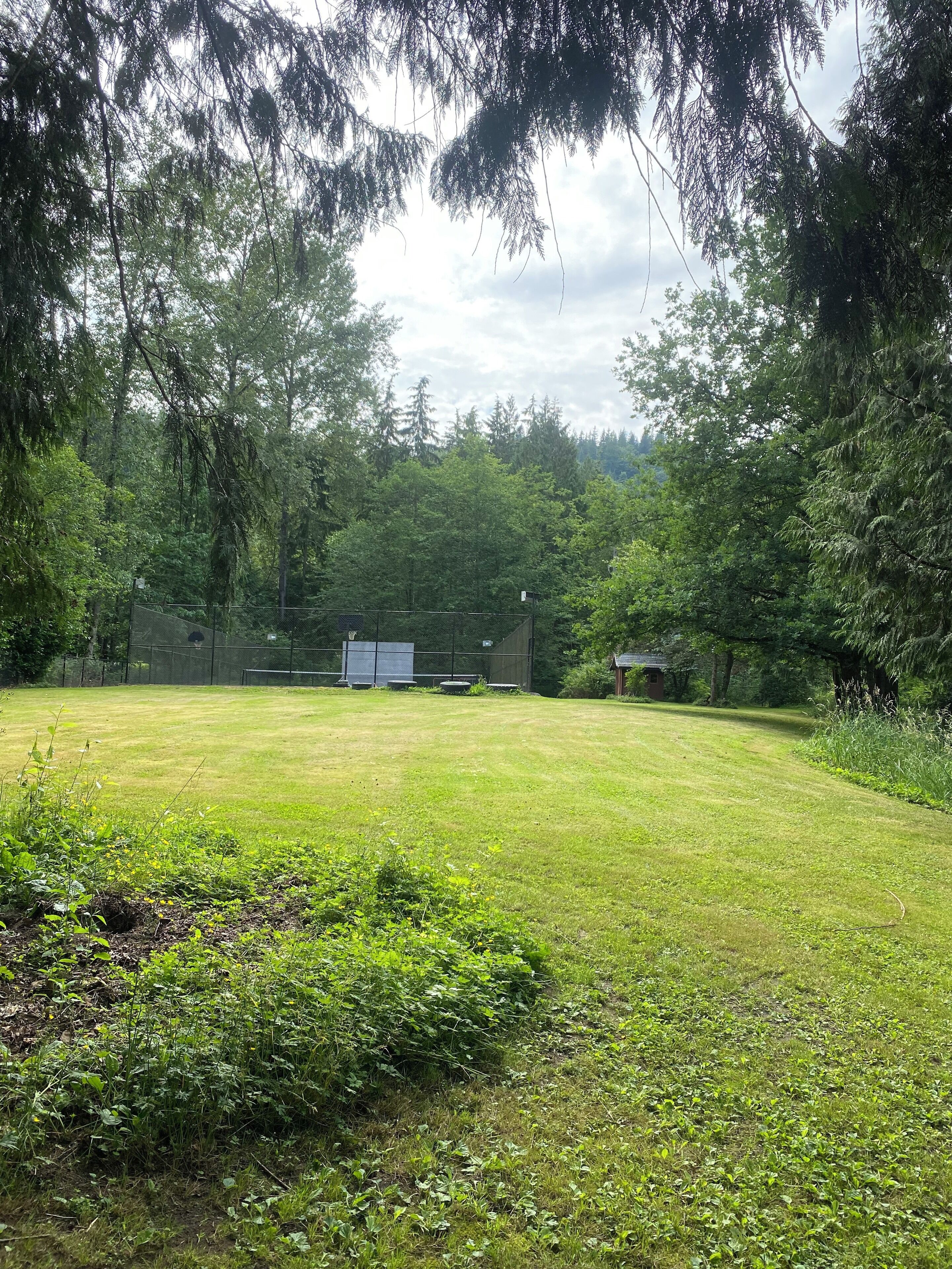Un espace extérieur verdoyant, doté d’un terrain de sport clôturé, entouré d’arbres et de végétation luxuriante.