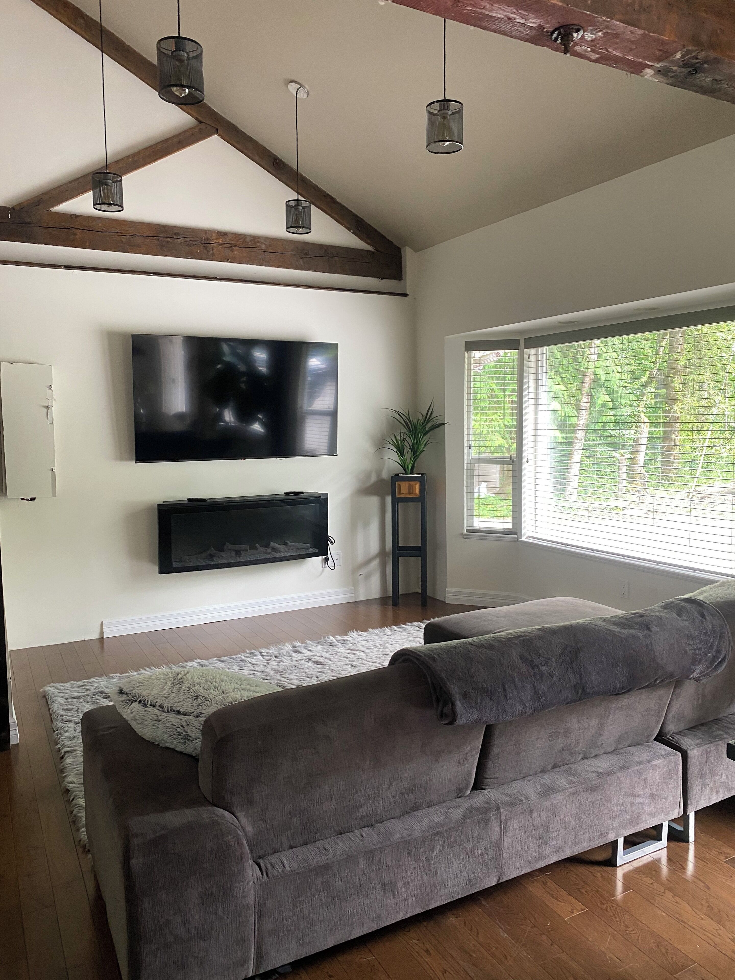 TV connectée, cheminée, jeux vidéo