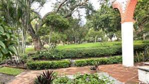 A garden with a paved walkway, potted plants, and a brick structure.